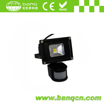 High Power 10W LED Flood Light (CE/RoHS) (BQ-FL115IR-10W)